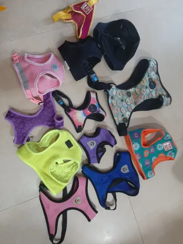 2 Coleiras peitorais novas Pet