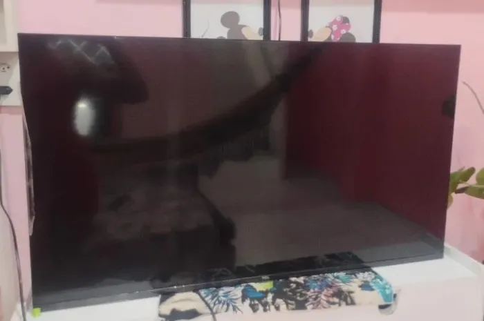 Tv de 40 polegadas marca tcl só fechamos negócios pessoalmente