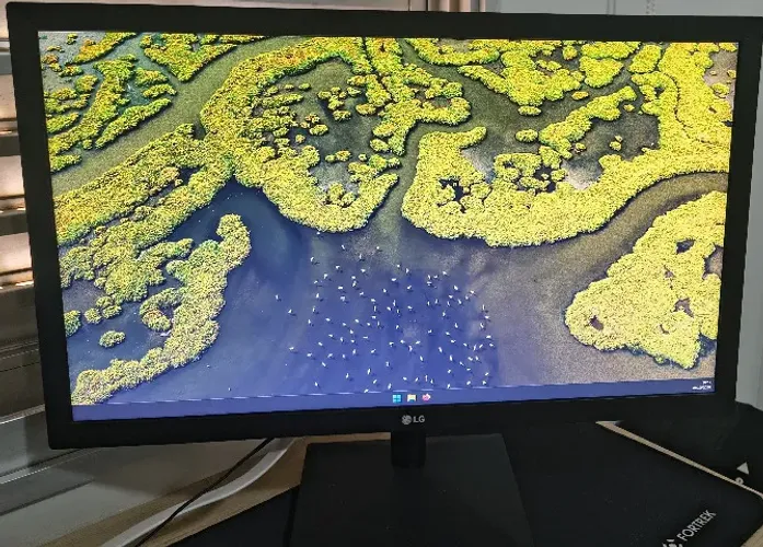 Monitor LG 21,5" Full HD (22MK400)