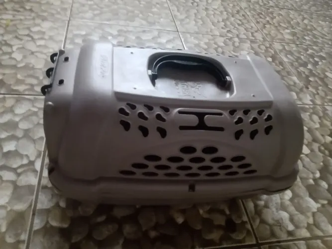 Caixinha transporte pet
