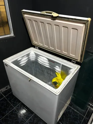 Freezer