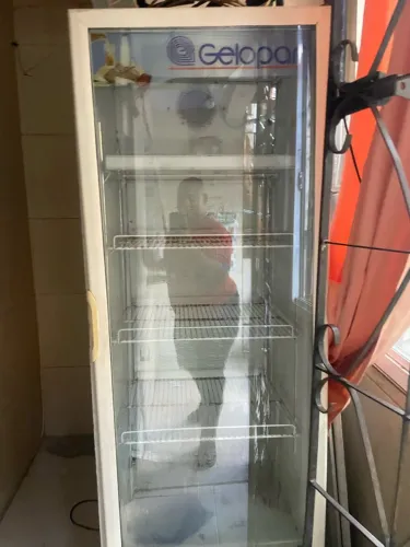 Frezzer vertical gelopar
