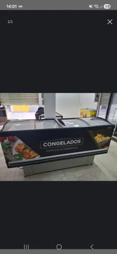Vendo ilha de congelados nova