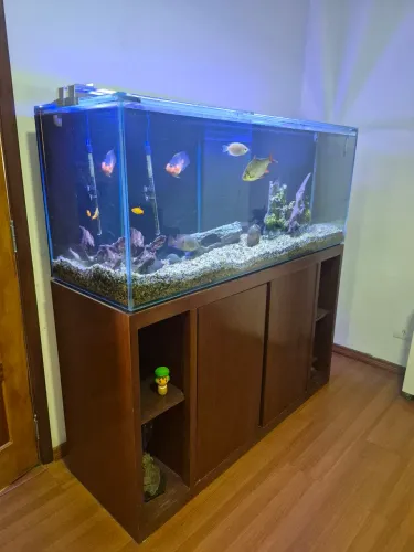 Aquário completo 450 litros completo com móvel eSump