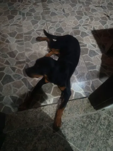 Doação