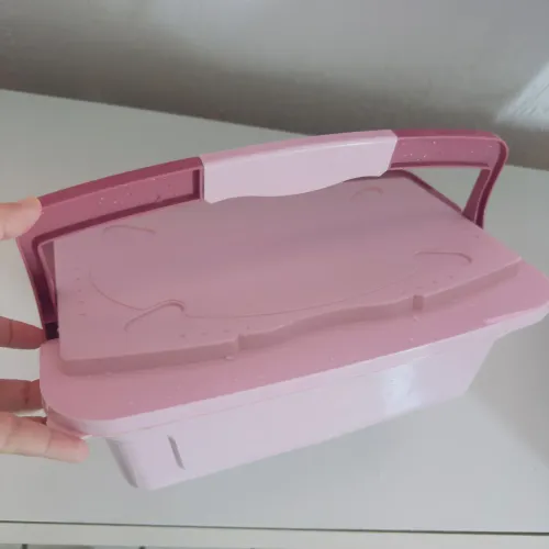 Caixa Organizadora Infantil Rosa com Tampa e Alça - Excelente Estado