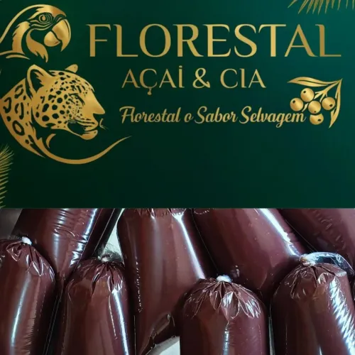 Açaí PURO do Pará 1 litro