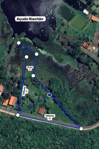 Terreno com árvores