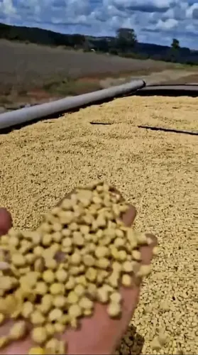Fazenda a venda em Imperatriz