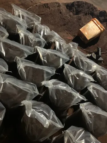 TERRA PRETA PREPARADA PARA CANTEIROS, FLOREIRAS E VASOS