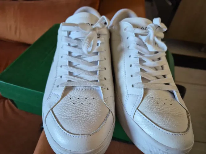 Tênis Lacoste Masculino Original 