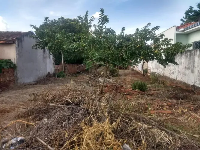 Terreno Padrão em Lençóis Paulista