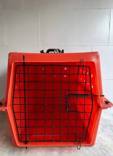 2 Transporte Grande para PET