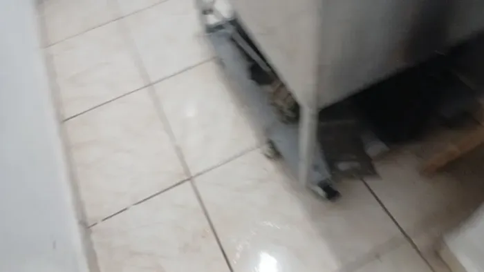 Picoleteira 5 formas esse valor desmontada ela funcionando faco 5.500.00a.