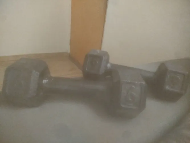 Peso de Academia 12 kg - Halter para Musculação e Treino em Casa