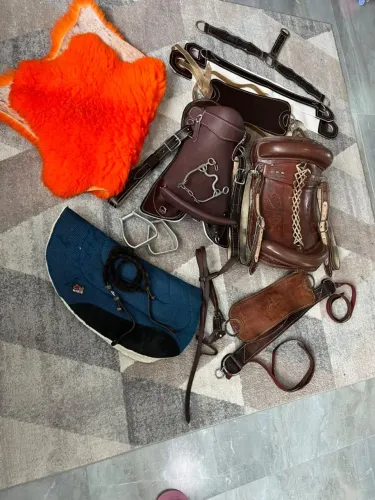 Kit Completo para Cavalo - 2 Bastos, Arreio e 24 Itens