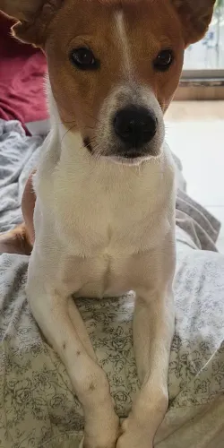 Doação 