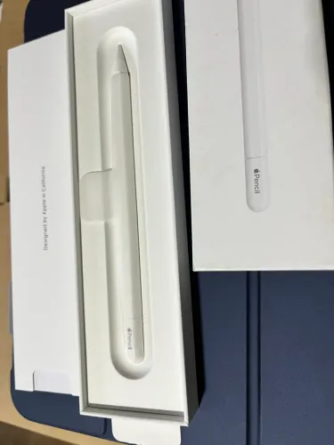 Apple Pencil USB-C Original - Estado de Nova