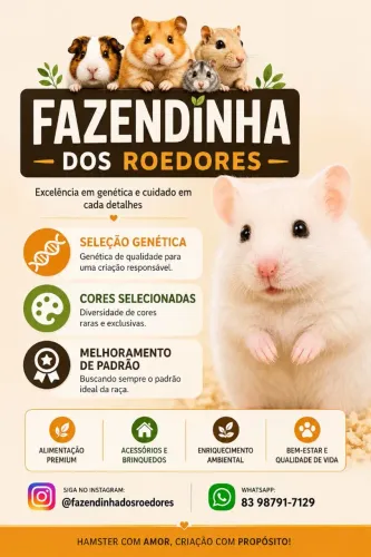 Hamster Sírios