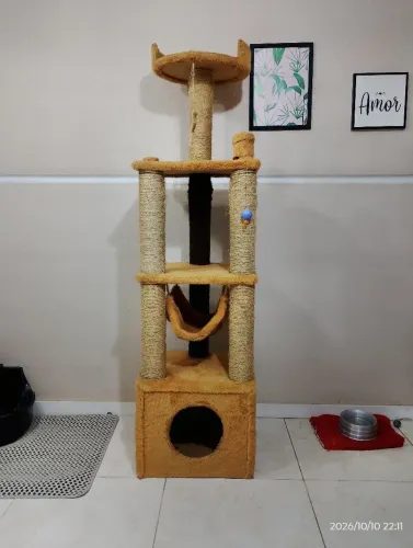 Casa para gatos