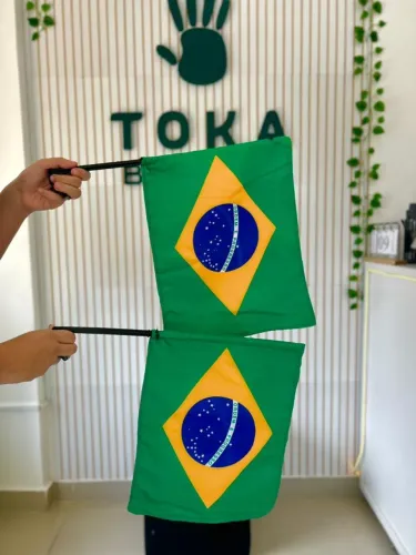 Bandeirinha do Brasil