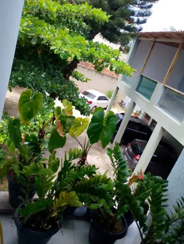 vende-se propriedade com kitnets e apartamentos