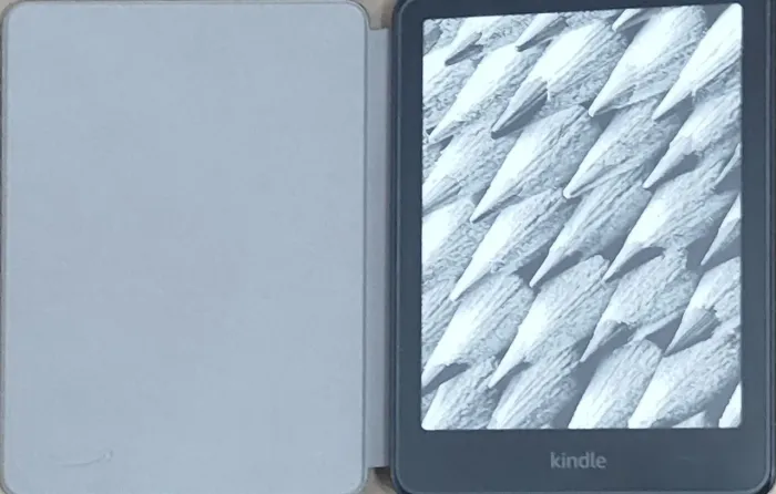 Venda Kindle 12ª geração