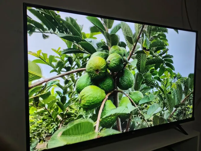 Tv smartv TCL 43 polegadas toda perfeita com todos os acessórios