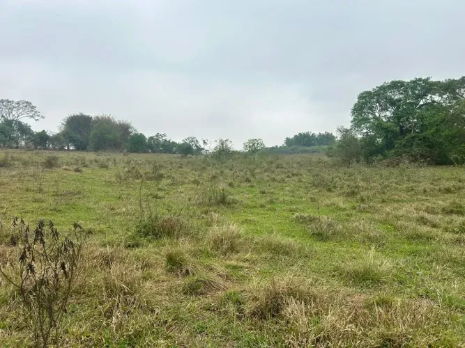 Área Rural à Venda em Promissã 67760 metros quadrados em Área Rural de Promissão - Promiss