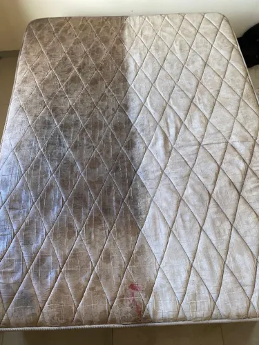 Limpeza profunda de estofados ( sofá, cama, cadeira e poltrona)