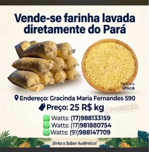 VENDE-SE FARINHA LAVADA DIRETO DE BELÉM