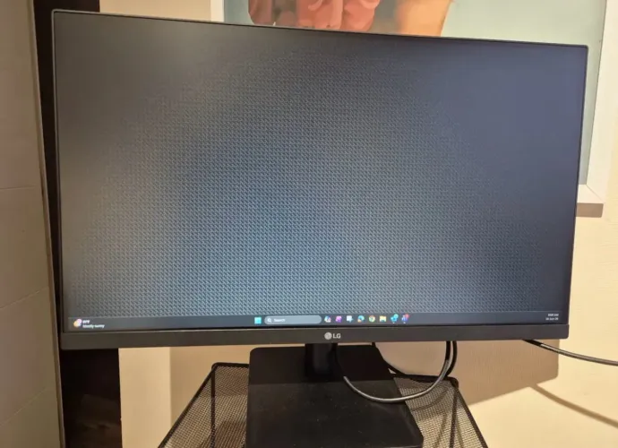 Monitor LG 24? Gamer