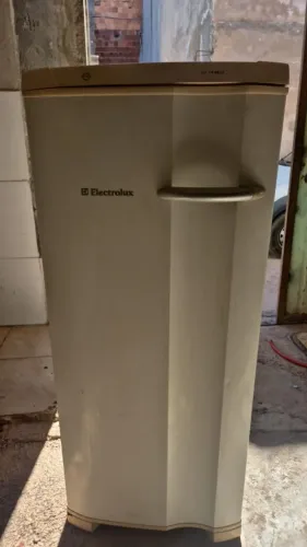 Freezer vertical