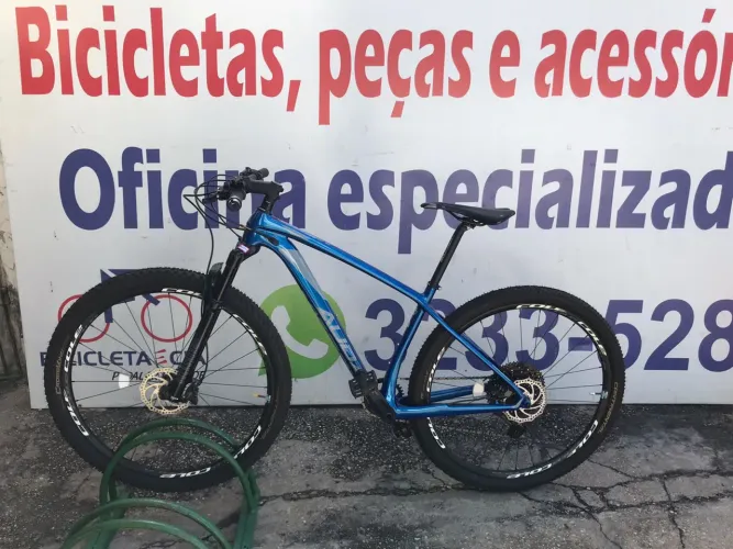 Bicicleta Audax Auge 555
