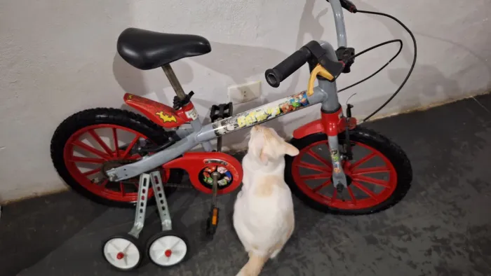 Bicicleta Bandeirante Batman Aro 16 Freio V-Brake Liga da Justiça