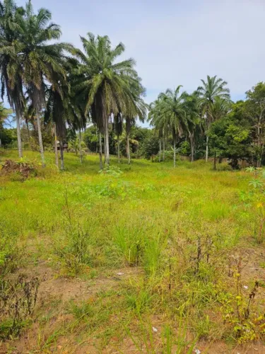 Terreno para Venda em Porto Seguro, Trancoso