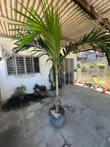 Vende-se planta 