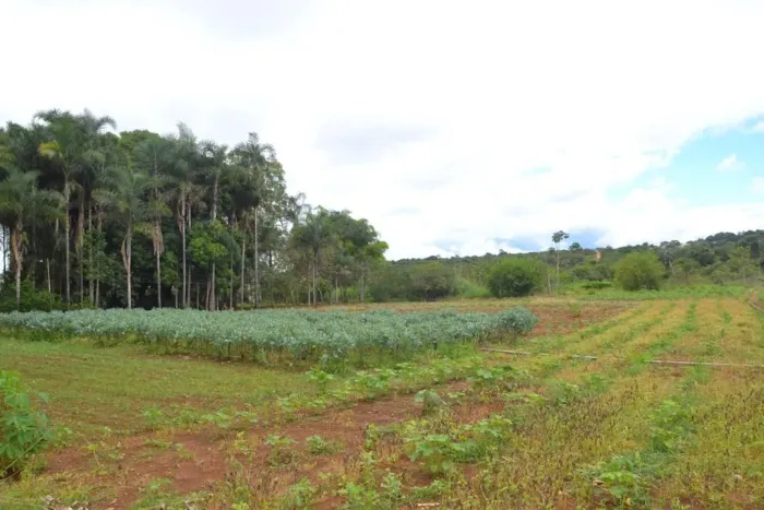 Chácara à venda no Chácaras Laranjeiras em Uberlândia