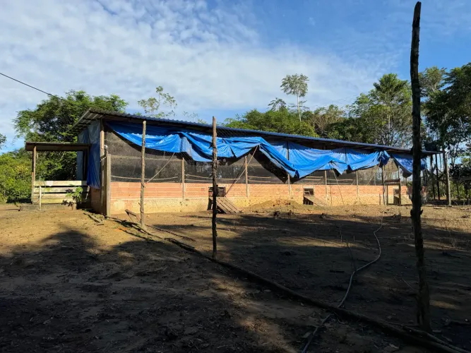 Vendo ou troco por carro,granja de galinha caipira.R$250,000