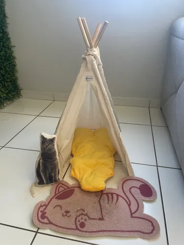 Kit para gatos