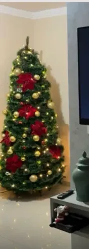 Antecipe a compra da sua árvore de Natal e pague mais barato.