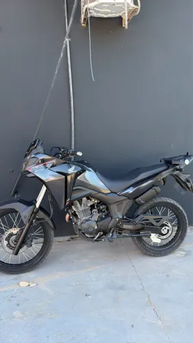 Sahara 300 ano 2025