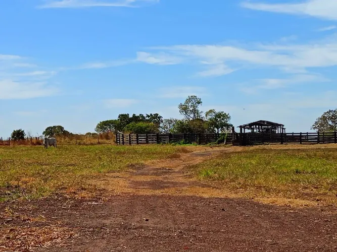 Fazenda com 1.170ha Aptidão para AGRICULTURA
