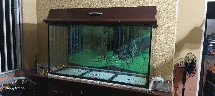 Aquário para Peixes