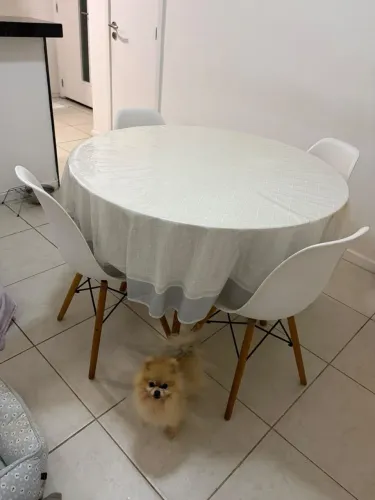 Mesa de Jantar Redonda Branca com 4 Cadeiras Estilo Eames