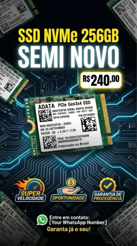 NVME 256GB SEMI NOVO