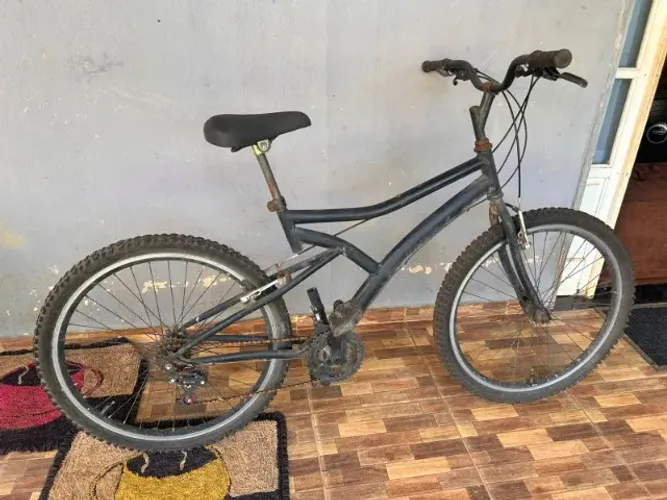 Bicicleta Caloi Andes