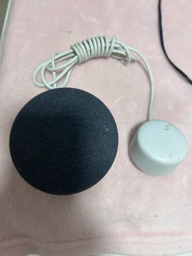 Google Nest Mini 2ª Geração Smart Speaker Assistente Virtual Completo