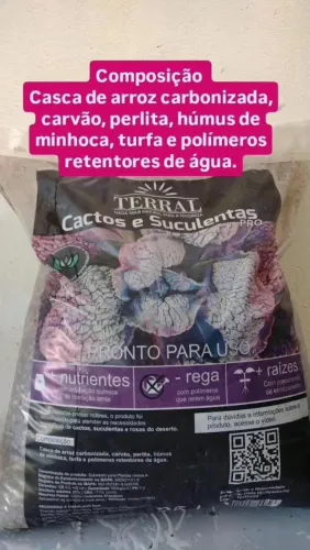 Substrato para cactos suculentas e rosas do deserto 