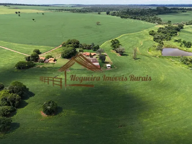 Fazenda com 115 alqueires na região de Ourinhos-SP